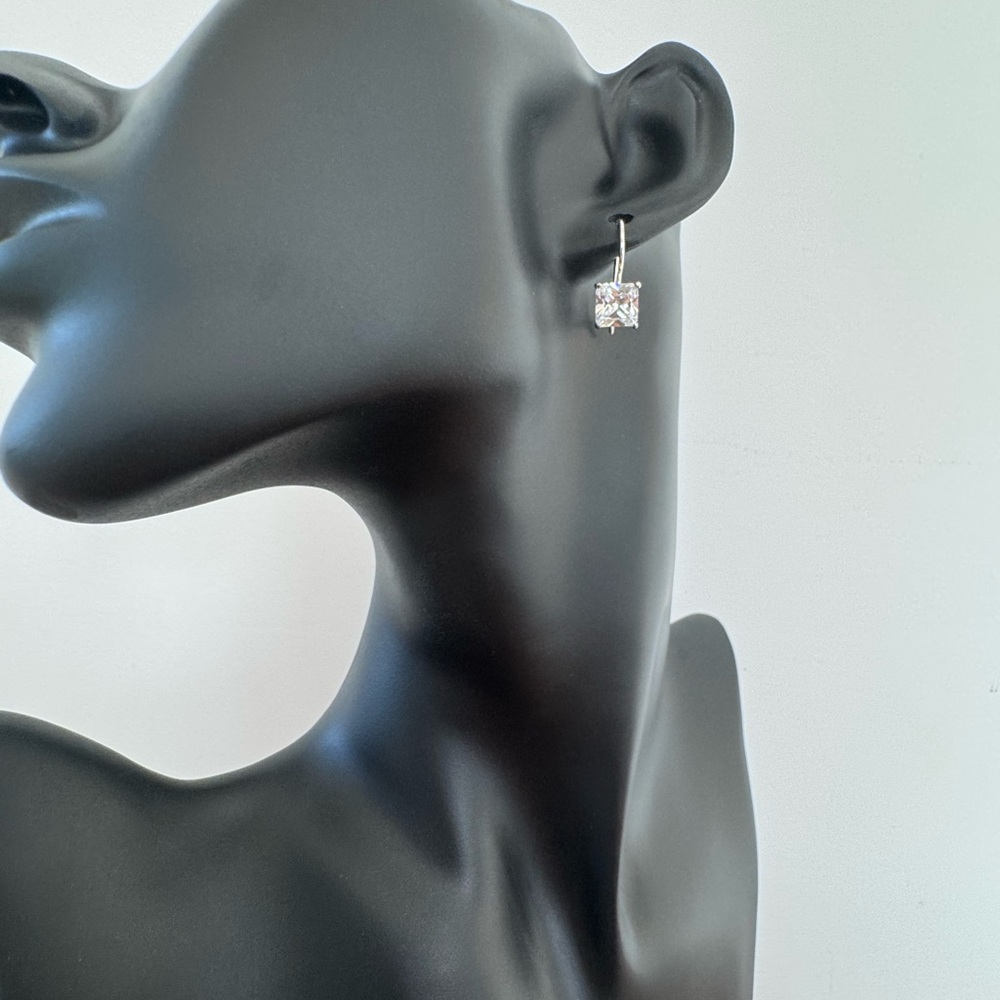 Princess Cut Sterling Silver/Cubic Zirconia Earrings